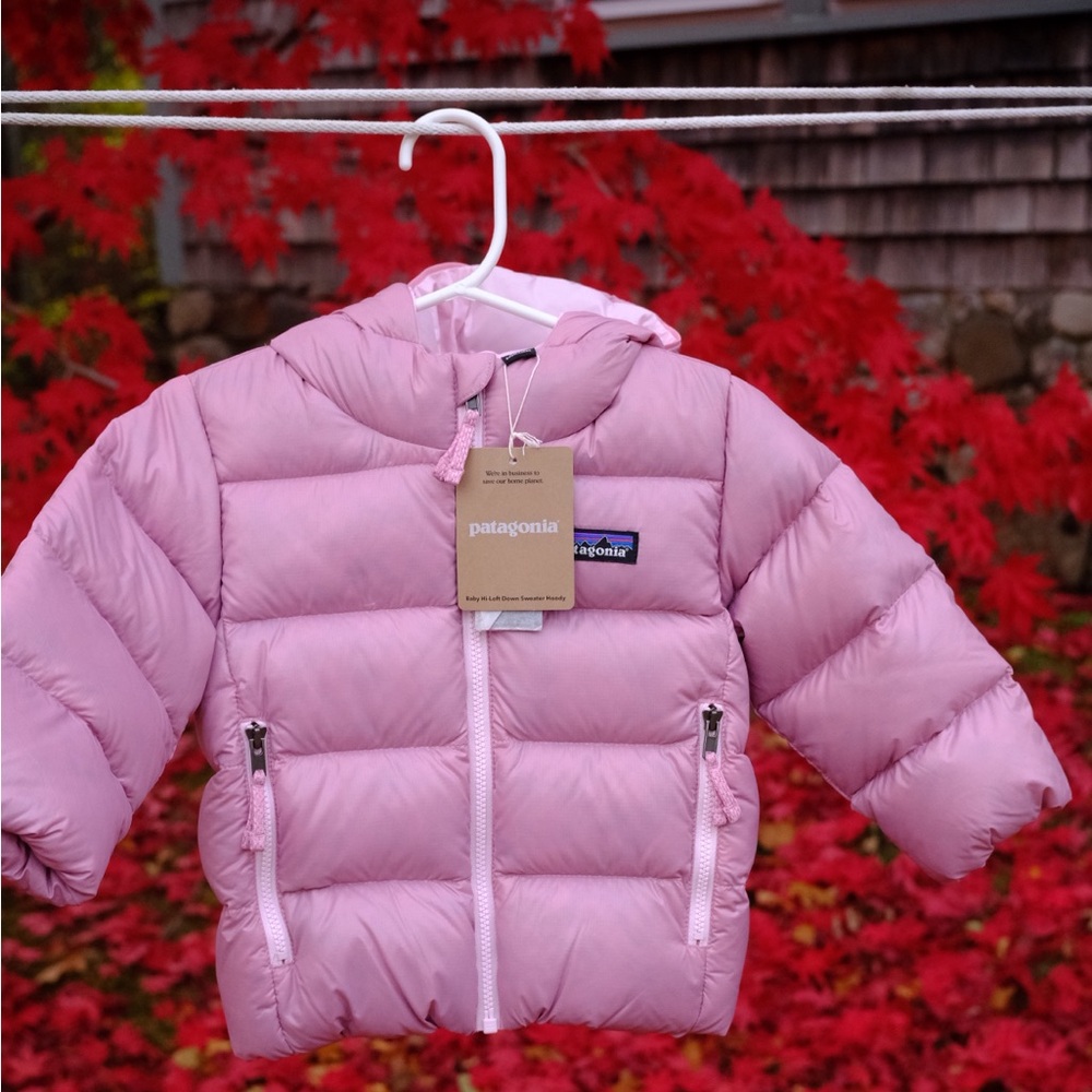Patagonia BABY HI-LOFT DOWN SWEATER HOODY COAT